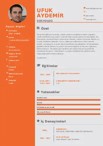 Sosyolog Cv Örnekleri cv indir